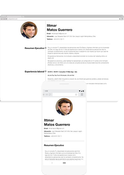 online edit resume template