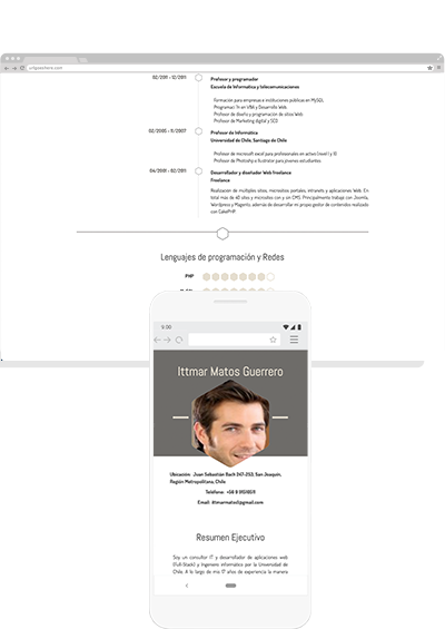 online edit resume template